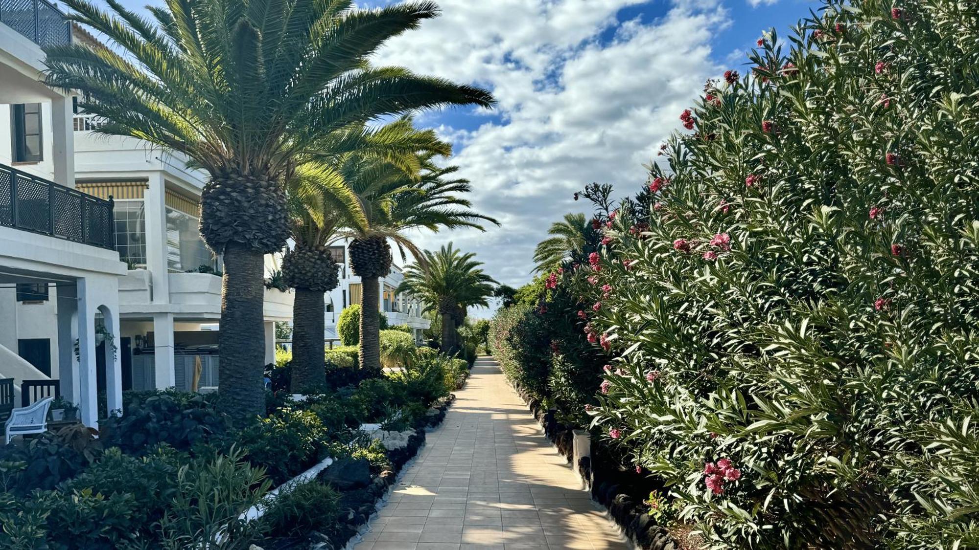 Serena Vista Golf 791 - Appartamento Confortevole A Amarilla Golf San Miguel de Abona Ngoại thất bức ảnh